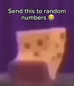 Sponge