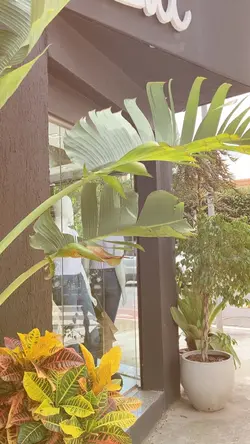 Visual Merchandising