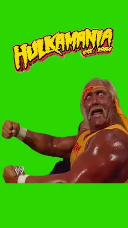 Hulkamania 1