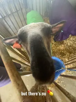 Shooting ❤️‍🩹