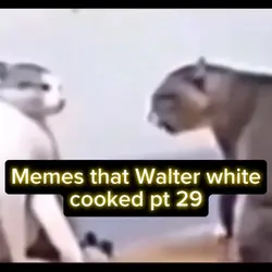 Funy