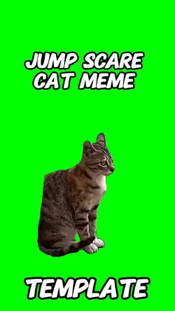 Jump scare cat 