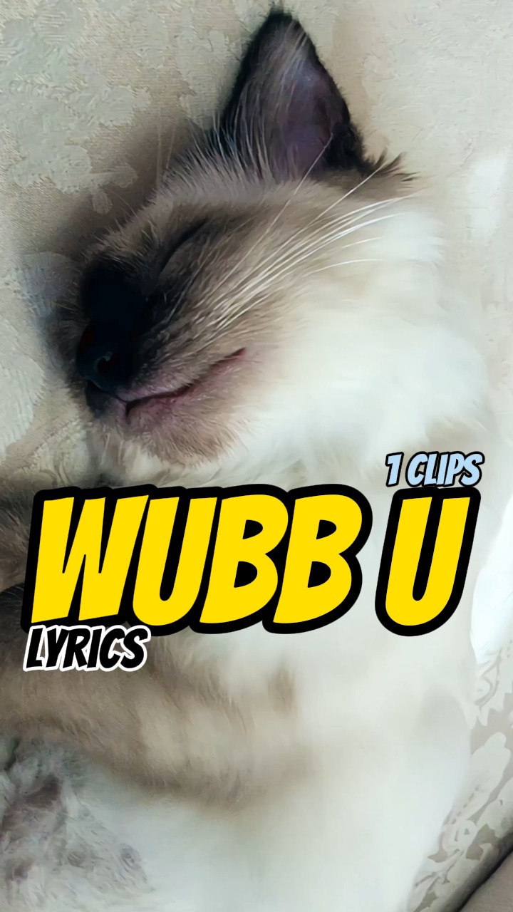 나는 당신의 노래를 wubb ! ❤️