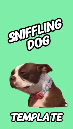Sniffling Dog Meme