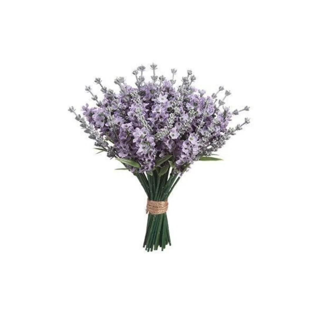 S O N H O . . . 