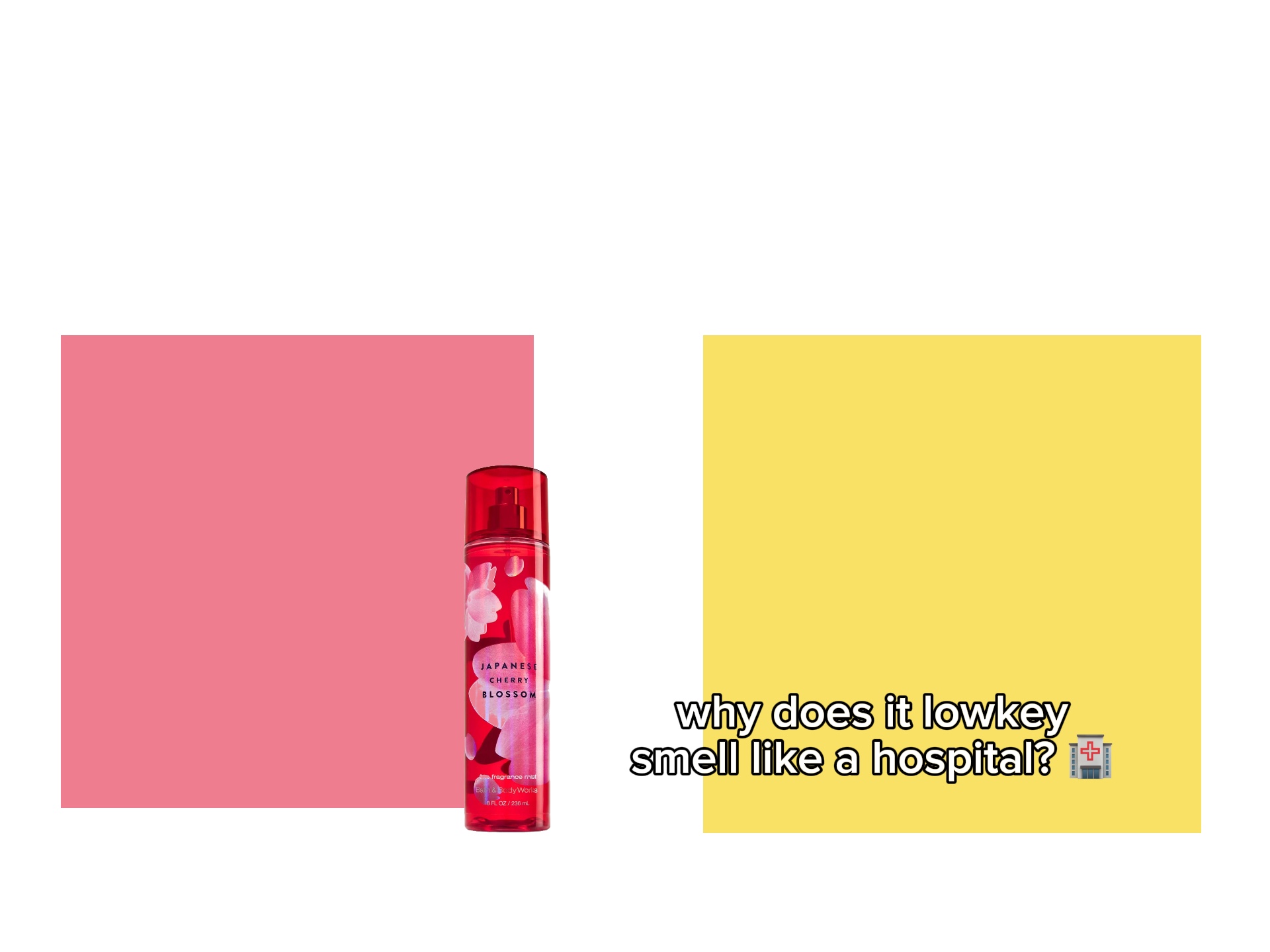 Meme
