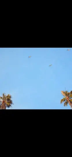 𝐆𝐎𝐑𝐈𝐋𝐋𝐀𝐙 𝐄𝐃𝐈𝐓