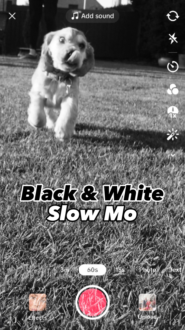 B/W Slow Mo