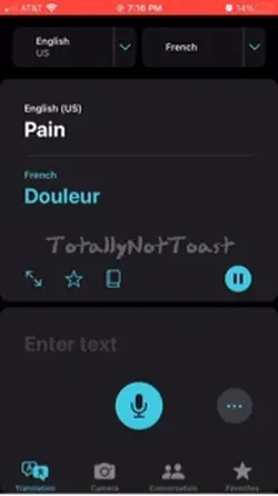 Pain in French? I’m