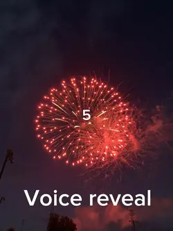Voice reveal 