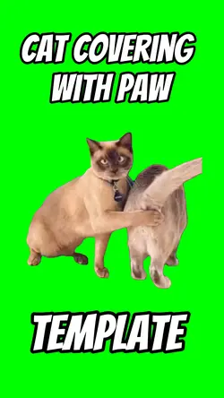 Cat covering paw