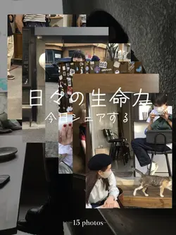 今日シェアする