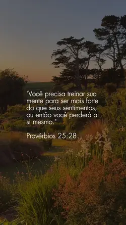 Provérbios 25: 28 