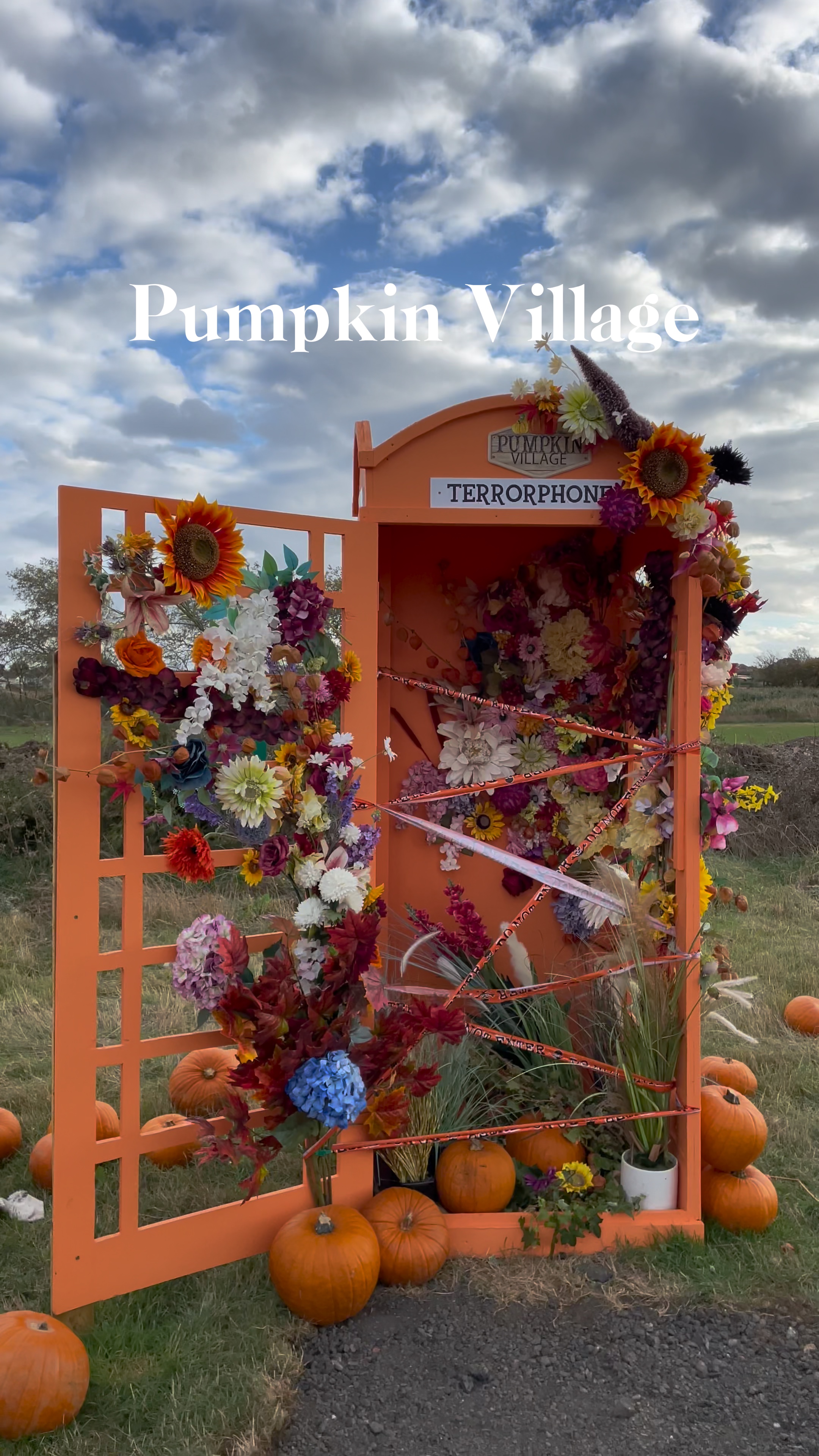 Temporada de calabazas 🎃 