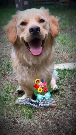 Collecting flowers💙🩵