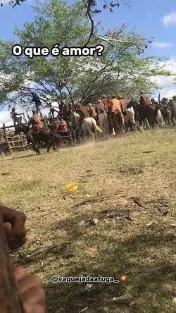 O que é amor?