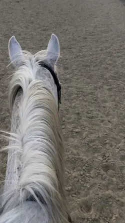 The sunset+filter=😻😻