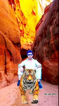 tiger