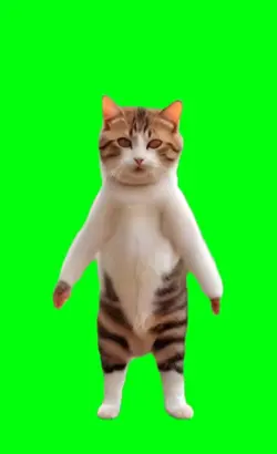 cat super dance