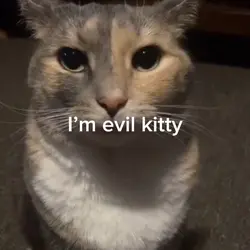 Evil Kitty