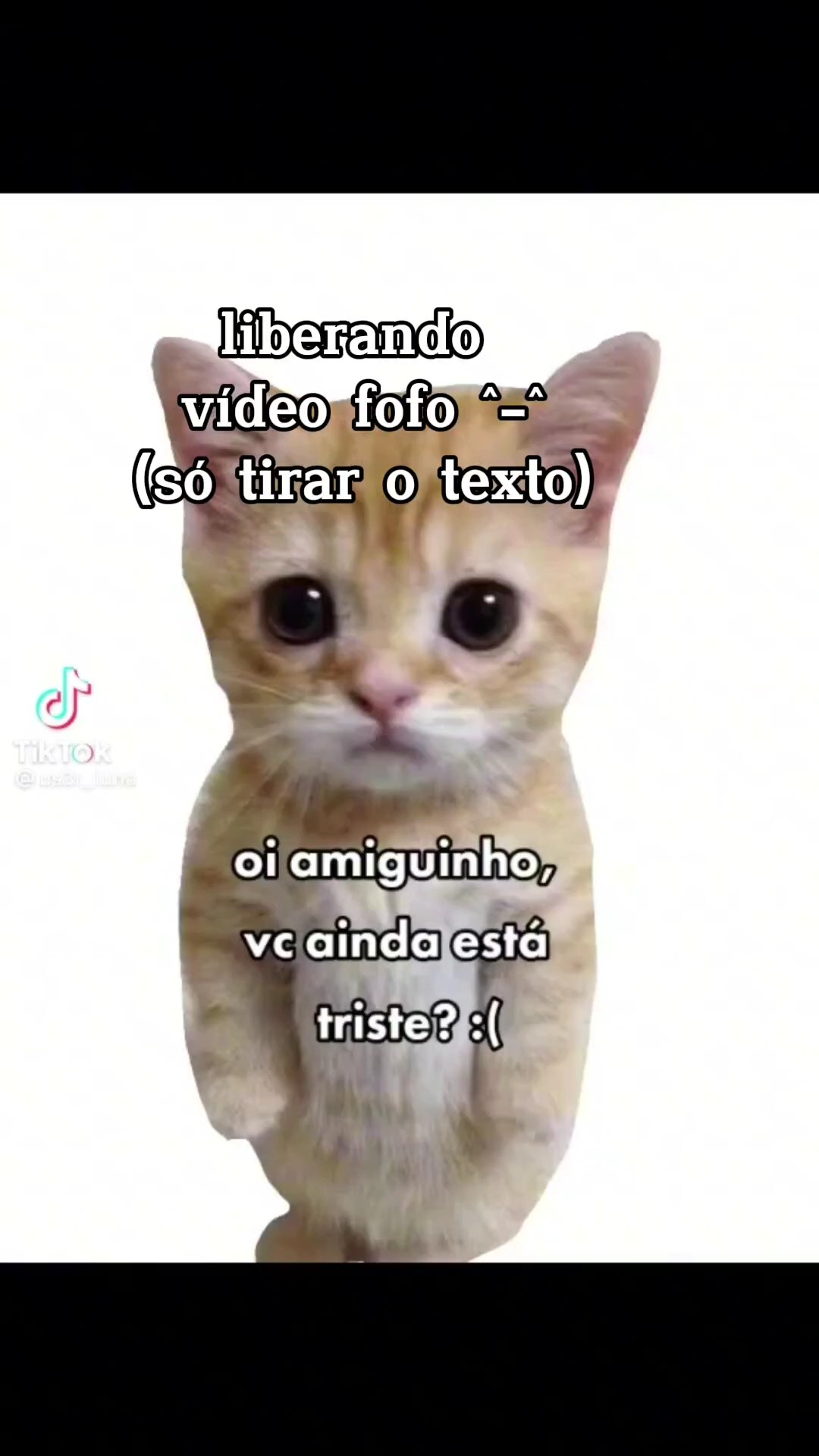 Liberando vídeo fofo
