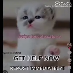 REPOST IT!