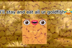 GOLDFISH