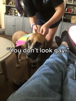 You don’t look gay