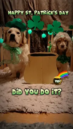 Luck of the Irish