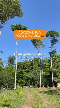 Eu até gosto da cdd 