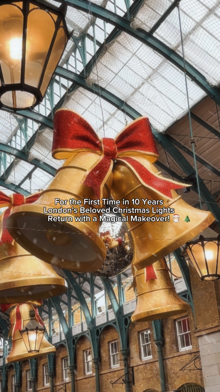 Weihnachtsbeleuchtung 