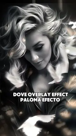 Overlay effect dove