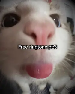 Free ringtone pt:3