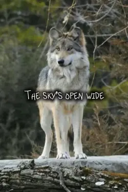 Wolves