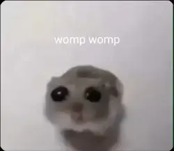 Womp womp