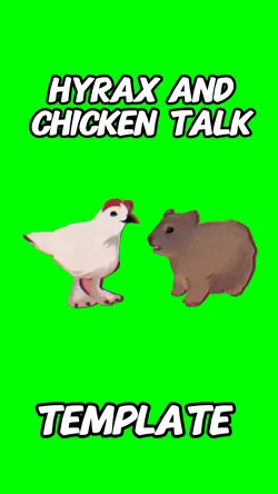 Hyrax n chicken talk