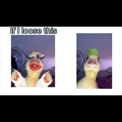 Im gonna own Walmart