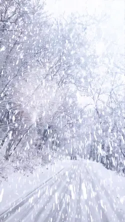Snow scene