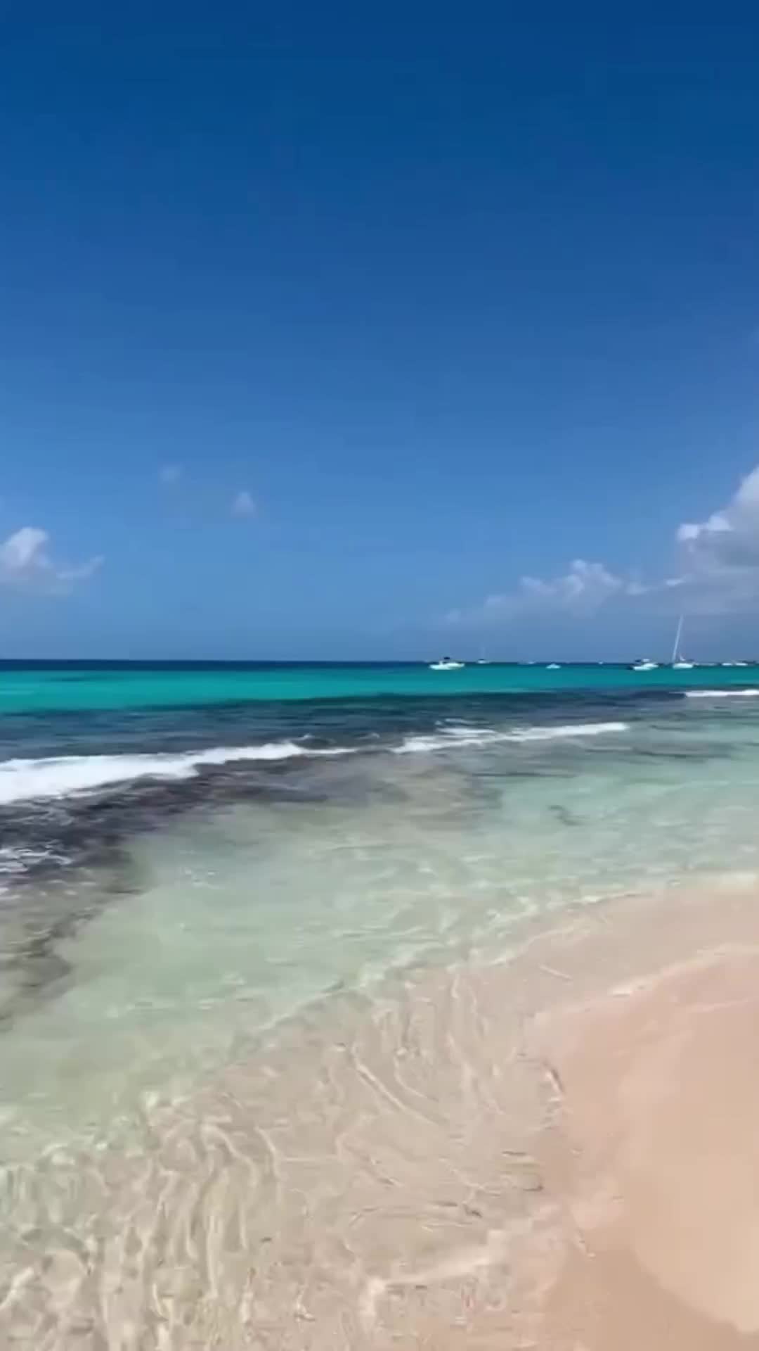 Transición de la mano 