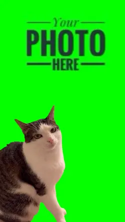 Mad Cat