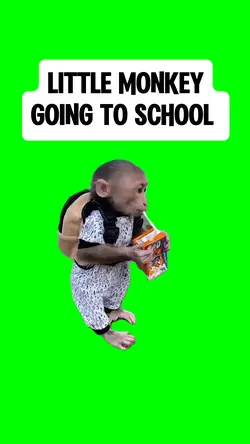 MONKEY GOING TO