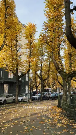 Fall in Denmark 