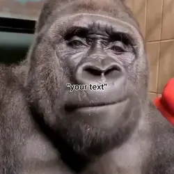 gorrilla fart meme