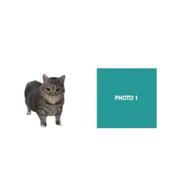 Wait u i a u u i a i