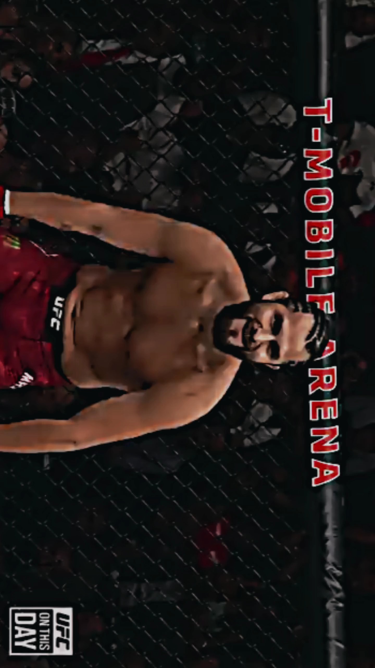 modèle UFC ko