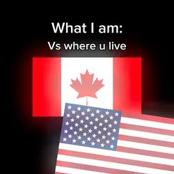 2 flag pictures 
