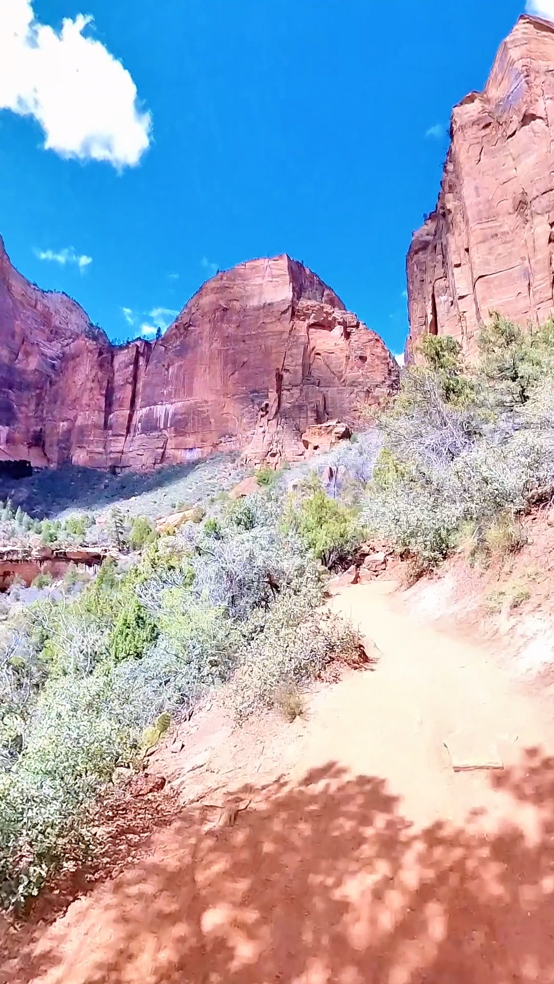 Hiking Zion