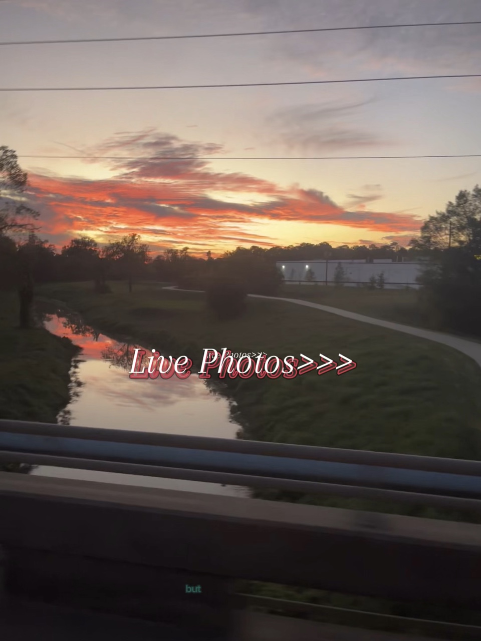Live Photos