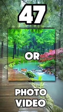 47 clip or photo