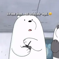 My Spirit Animal 🤣🐻‍❄️
